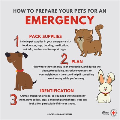 emergency pet plan chart