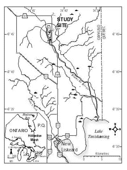 study site map